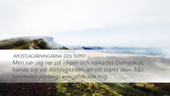 Apostlagärningarna 22:6 SV1917 Bible Verse Image