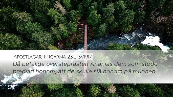Apostlagärningarna 23:2 SV1917 Bible Verse Image