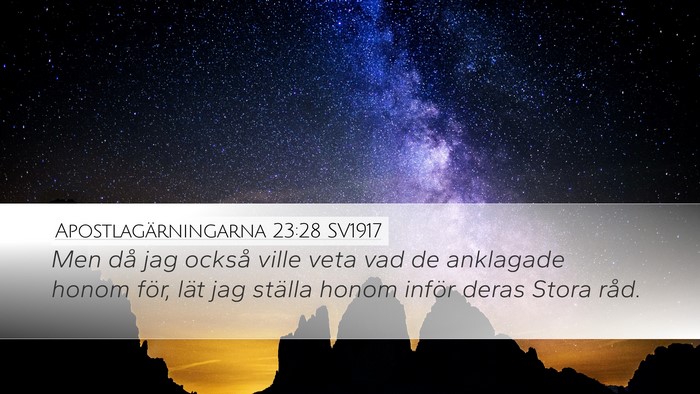 Apostlagärningarna 23:28 SV1917 Bible Verse Image