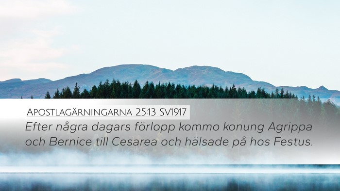 Apostlagärningarna 25:13 SV1917 Bible Verse Image