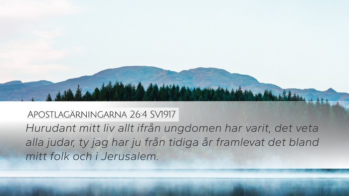 Apostlagärningarna 26:4 SV1917 Bible Verse Image