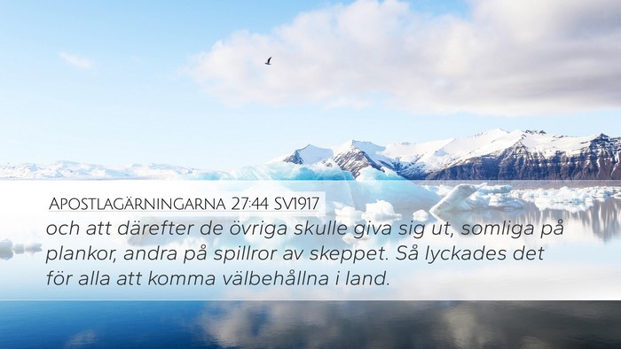 Apostlagärningarna 27:44 SV1917 Bible Verse Image