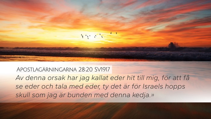 Apostlagärningarna 28:20 SV1917 Bible Verse Image