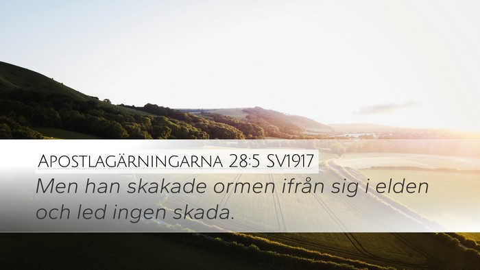 Apostlagärningarna 28:5 SV1917 Bible Verse Image