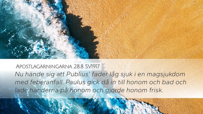 Apostlagärningarna 28:8 SV1917 Bible Verse Image