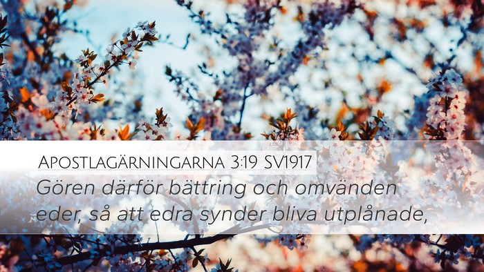 Apostlagärningarna 3:19 SV1917 Bible Verse Image