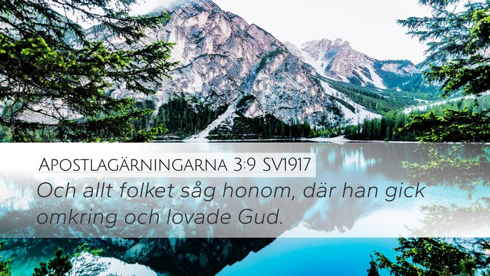 Apostlagärningarna 3:9 SV1917 Desktop Wallpaper - Och allt folket såg honom, där han gick omkring - Desktop Bible Verse Wallpaper