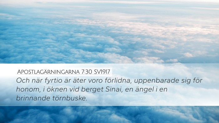 Apostlagärningarna 7:30 SV1917 Bible Verse Image