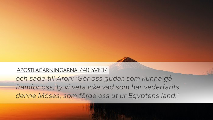 Apostlagärningarna 7:40 SV1917 Bible Verse Image