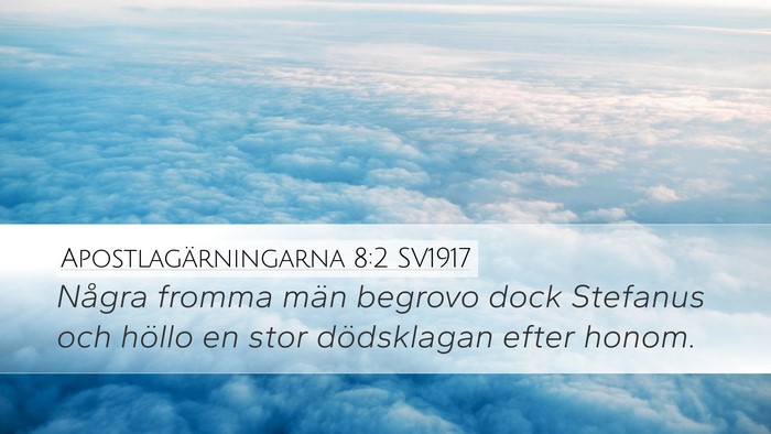 Apostlagärningarna 8:2 SV1917 Bible Verse Image
