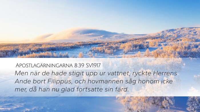 Apostlagärningarna 8:39 SV1917 Bible Verse Image