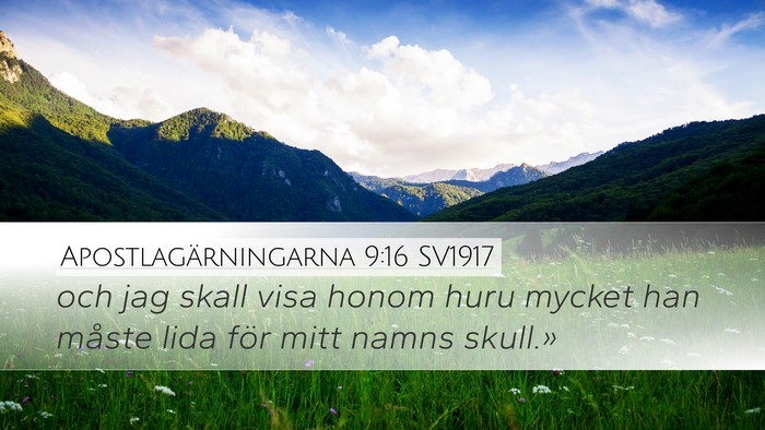 Apostlagärningarna 9:16 SV1917 Bible Verse Image