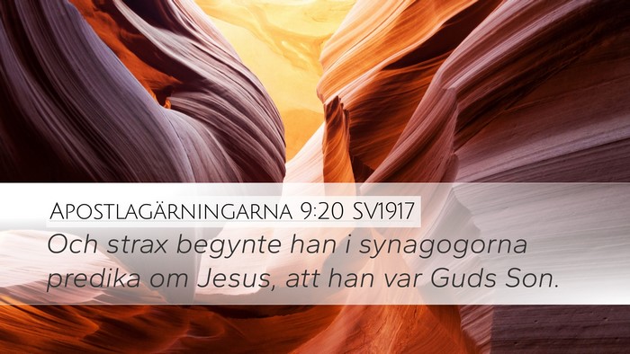 Apostlagärningarna 9:20 SV1917 Bible Verse Image