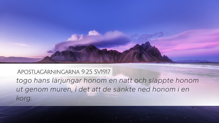 Apostlagärningarna 9:25 SV1917 Bible Verse Image