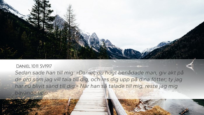 Daniel 10:11 SV1917 Bible Verse Image