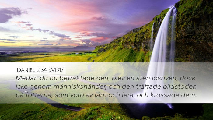 Daniel 2:34 SV1917 Bible Verse Image