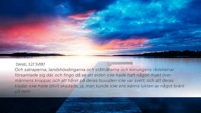 Daniel 3:27 SV1917 Bible Verse Image