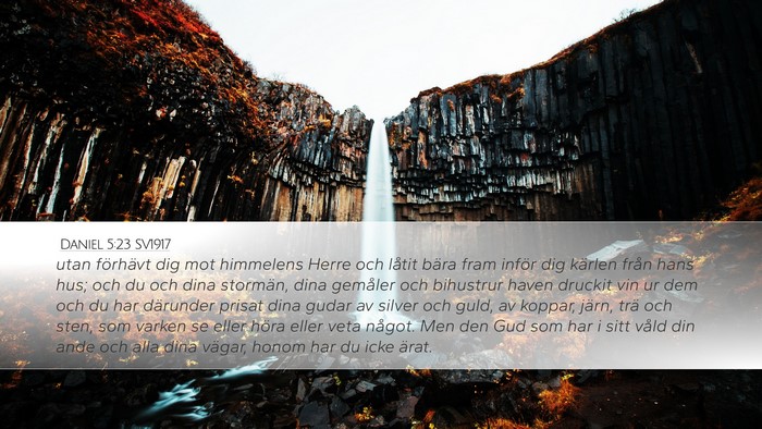 Daniel 5:23 SV1917 Bible Verse Image