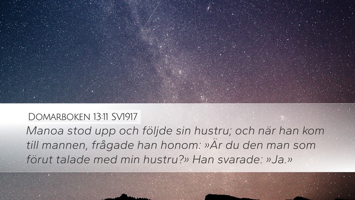 Domarboken 13:11 SV1917 Desktop Wallpaper - Manoa stod upp och följde sin hustru; och när - Desktop Bible Verse Wallpaper