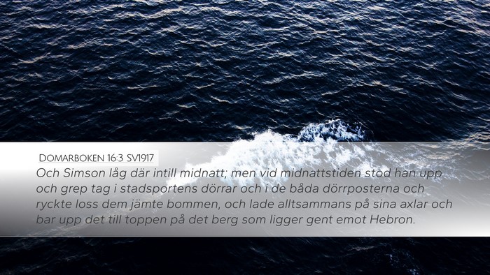 Domarboken 16:3 SV1917 Bible Verse Image