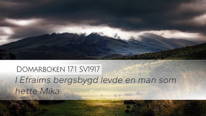 Domarboken 17:1 SV1917 Bible Verse Image