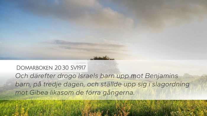 Domarboken 20:30 SV1917 Desktop Wallpaper - Och därefter drogo Israels barn upp mot - Desktop Bible Verse Wallpaper