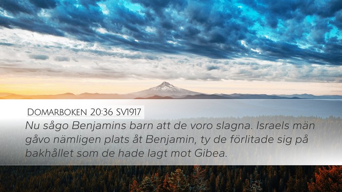 Domarboken 20:36 SV1917 Bible Verse Image