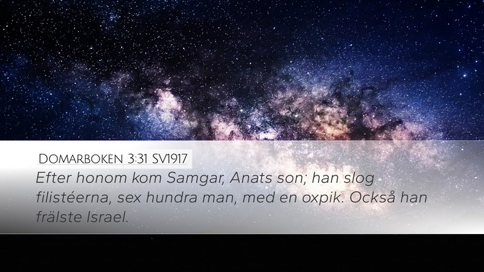 Domarboken 3:31 SV1917 Bible Verse Image