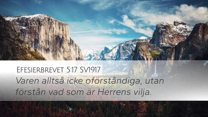 Efesierbrevet 5:17 SV1917 Bible Verse Image