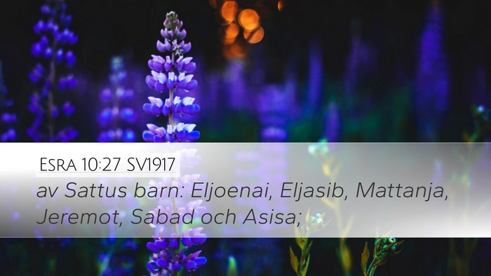 Esra 10:27 SV1917 Bible Verse Image