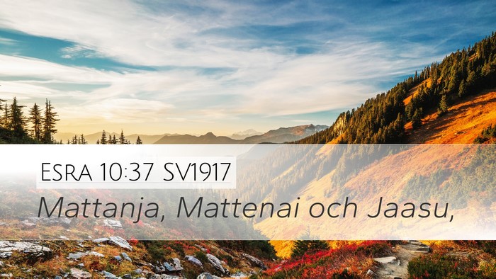 Esra 10:37 SV1917 Desktop Wallpaper - Mattanja, Mattenai och - Desktop Bible Verse Wallpaper