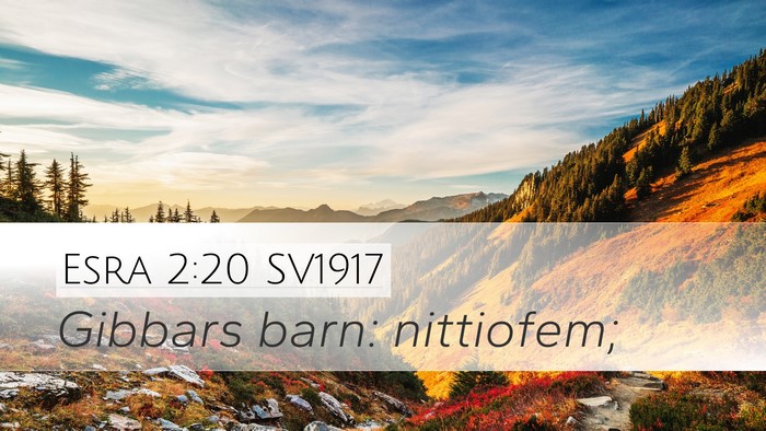 Esra 2:20 SV1917 Bible Verse Image