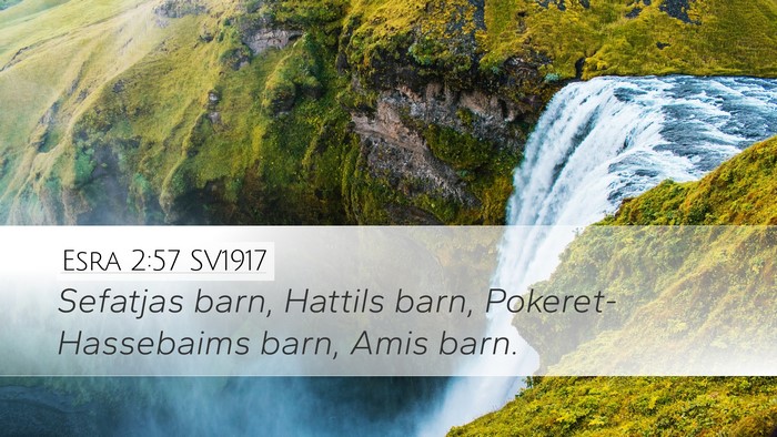 Esra 2:57 SV1917 Bible Verse Image
