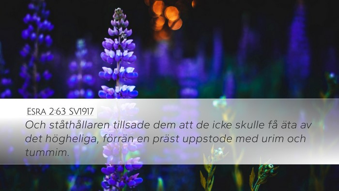 Esra 2:63 SV1917 Bible Verse Image
