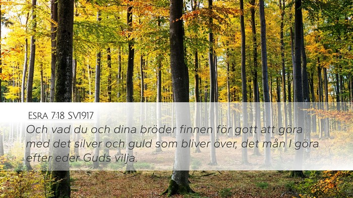 Esra 7:18 SV1917 Desktop Wallpaper - Och vad du och dina bröder finnen för gott att - Desktop Bible Verse Wallpaper
