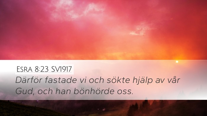 Esra 8:23 SV1917 Bible Verse Image