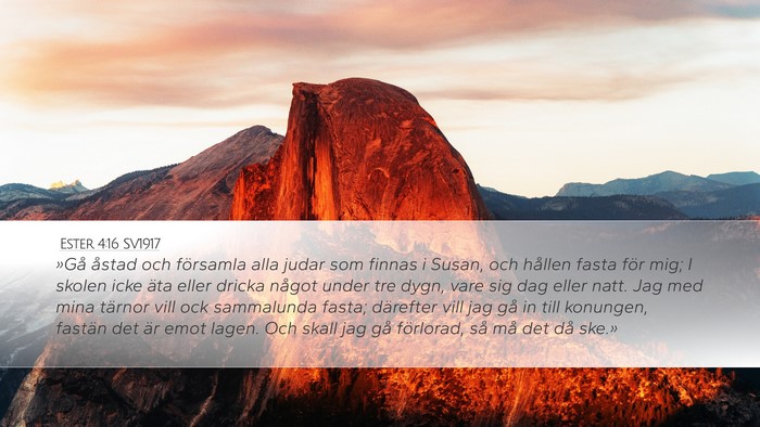 Ester 4:16 SV1917 Bible Verse Image