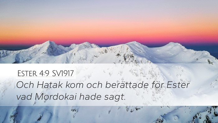 Ester 4:9 SV1917 Desktop Wallpaper - Och Hatak kom och berättade för Ester vad - Desktop Bible Verse Wallpaper