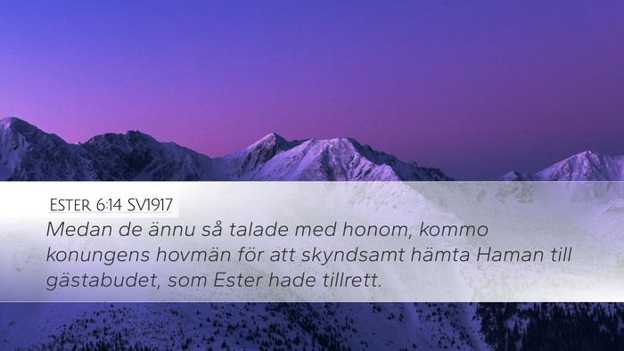 Ester 6:14 SV1917 Bible Verse Image