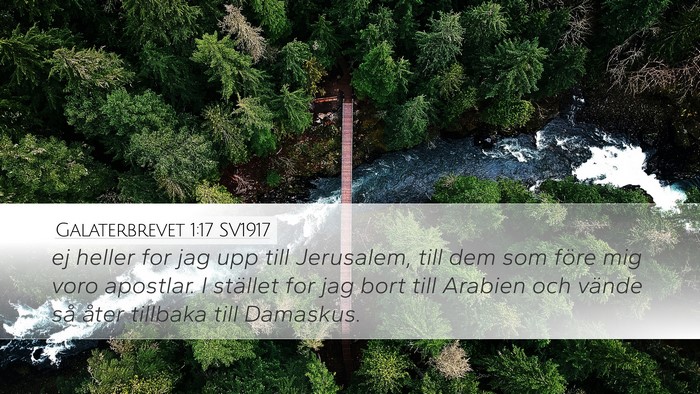 Galaterbrevet 1:17 SV1917 Bible Verse Image