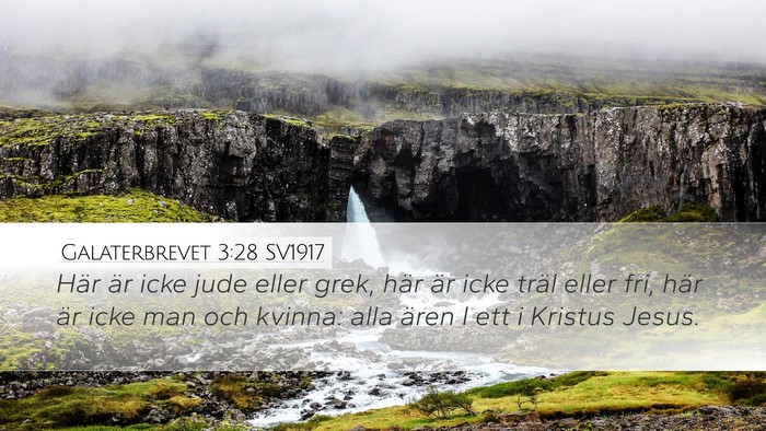 Galaterbrevet 3:28 SV1917 Bible Verse Image
