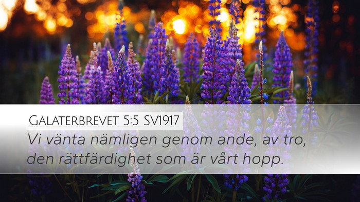 Galaterbrevet 5:5 SV1917 Bible Verse Image