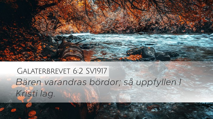 Galaterbrevet 6:2 SV1917 Bible Verse Image