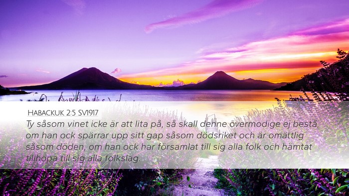 Habackuk 2:5 SV1917 Bible Verse Image