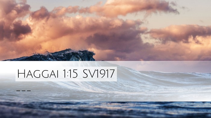 Haggai 1:15 SV1917 Bible Verse Image