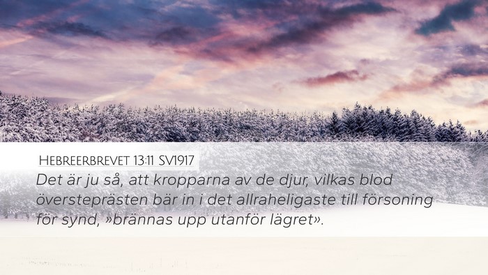 Hebreerbrevet 13:11 SV1917 Bible Verse Image