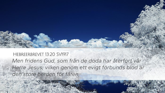 Hebreerbrevet 13:20 SV1917 Bible Verse Image
