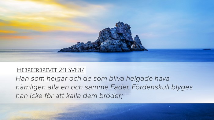 Hebreerbrevet 2:11 SV1917 Bible Verse Image