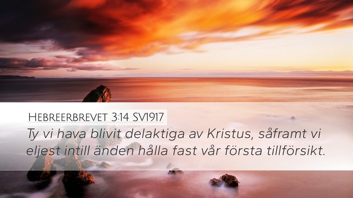 Hebreerbrevet 3:14 SV1917 Bible Verse Image