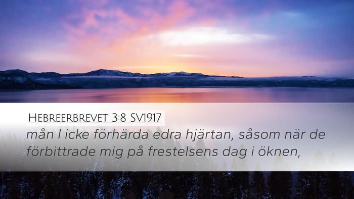 Hebreerbrevet 3:8 SV1917 Bible Verse Image